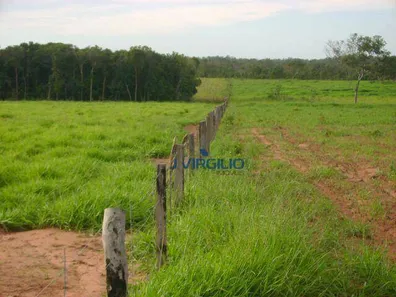 Fazenda / Sítio / Chácara com 1 Quarto à venda, 15070000m² no , Pedro Afonso