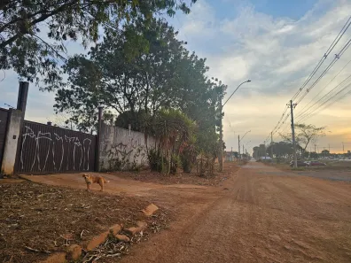 Galpão / Depósito / Armazém à venda, 300m² no Setor Placa da Mercedes, Brasília