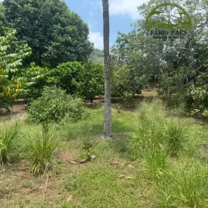 Fazenda / Sítio / Chácara com 4 Quartos à venda, 10000m² no Papucaia, Cachoeiras de Macacu