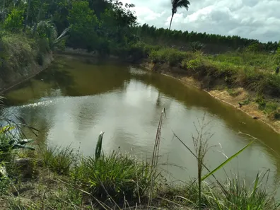 Fazenda / Sítio / Chácara com 3 Quartos à venda, 200m² no Centro, Itapecuru Mirim