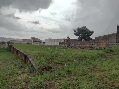 Terreno / Lote / Condomínio para alugar, 2616m² no Vila José Bonifácio, Araraquara