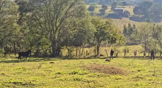 Terreno / Lote / Condomínio à venda, 10000m² no Centro, Pouso Alegre