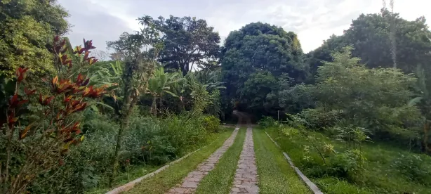 Fazenda / Sítio / Chácara com 7 Quartos à venda, 601m² no Anil, Rio de Janeiro