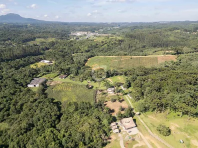 Fazenda / Sítio / Chácara com 3 Quartos à venda, 242000m² no , Campina Grande do Sul