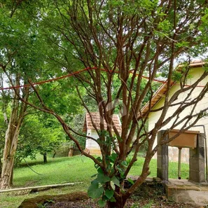 Fazenda / Sítio / Chácara com 3 Quartos à venda, 10000m² no , Redenção da Serra