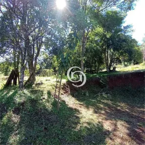 Fazenda / Sítio / Chácara com 2 Quartos à venda, 3000m² no São Salvador, Cascavel