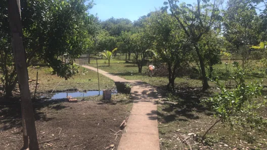Fazenda / Sítio / Chácara com 3 Quartos à venda, 250m² no , Terenos