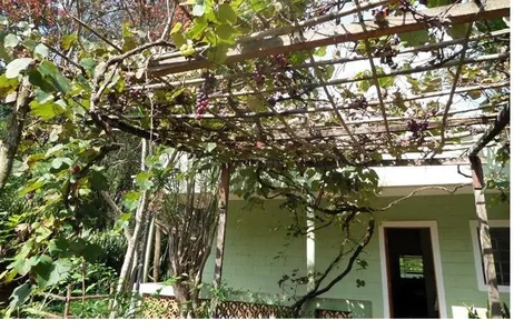 Fazenda / Sítio / Chácara com 3 Quartos à venda, 200m² no Centro, Pirapora do Bom Jesus
