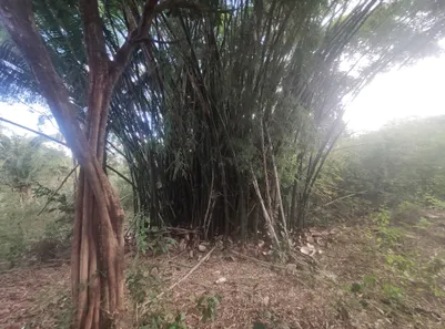 Fazenda / Sítio / Chácara com 4 Quartos à venda, 20000m² no , Brasília