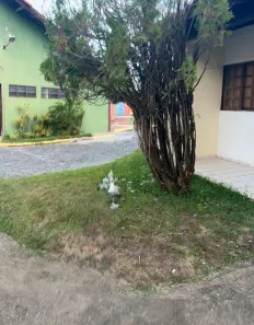 Casa de Condomínio com 2 Quartos para alugar, 60m² no Nossa Senhora da Conceição, Paulista