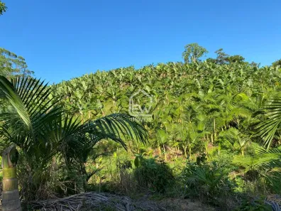 Fazenda / Sítio / Chácara com 1 Quarto à venda, 101850m² no Sete de Janeiro, Massaranduba