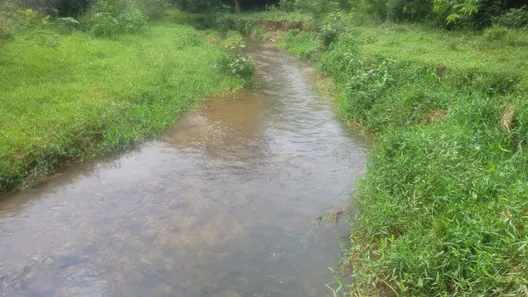 Fazenda / Sítio / Chácara à venda, 5808000m² no , Padre Bernardo