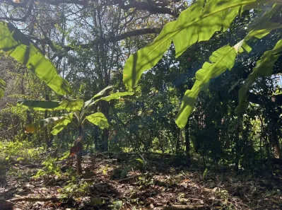 Fazenda / Sítio / Chácara com 2 Quartos à venda, 150m² no , Pacoti