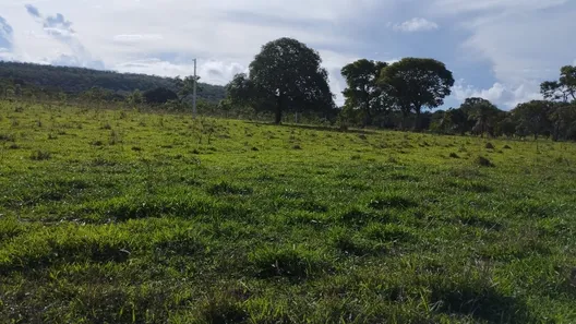 Fazenda / Sítio / Chácara com 5 Quartos à venda, 69m² no Área Rural de Formosa, Formosa