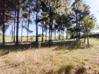Terreno / Lote / Condomínio à venda, 37m² no Pé de Plátano, Santa Maria