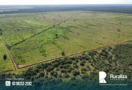 Fazenda / Sítio / Chácara à venda, 503m² no , Pium