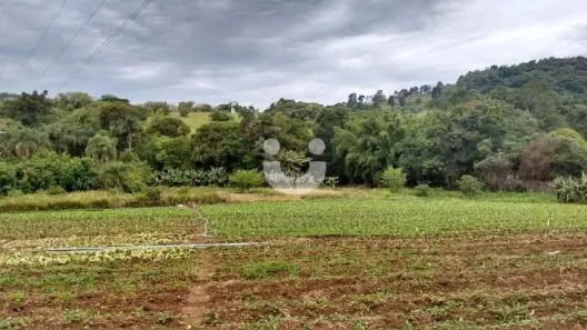 Fazenda / Sítio / Chácara com 3 Quartos à venda, 200m² no Ciriaco, Piedade