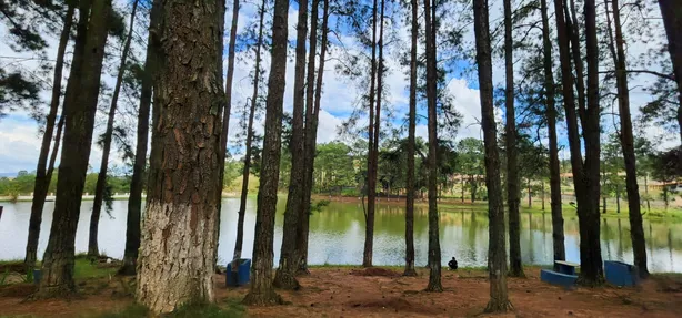 Fazenda / Sítio / Chácara com 2 Quartos à venda, 100m² no Carafá, Votorantim