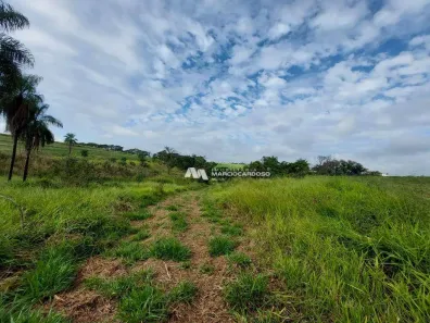 Fazenda / Sítio / Chácara com 1 Quarto à venda, 101156m² no Área Rural de Olímpia, Olímpia