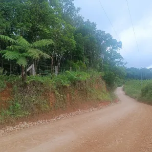 Fazenda / Sítio / Chácara à venda, 20000m² no Área Rural de Campo Largo, Campo Largo