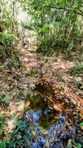 Fazenda / Sítio / Chácara à venda, 20000m² no Setor de Habitações Individuais Sul, Brasília