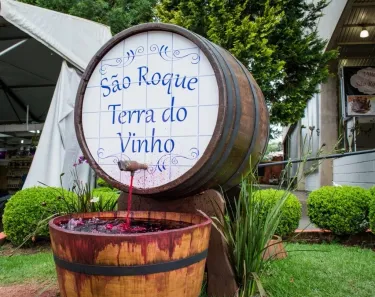 Fazenda / Sítio / Chácara com 4 Quartos à venda, 1000m² no Saboó, São Roque