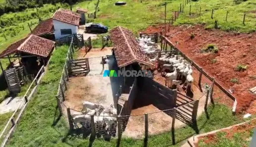 Fazenda / Sítio / Chácara com 1 Quarto à venda, 44m² no Centro, Pouso Alegre
