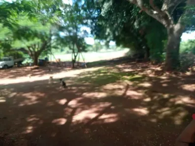 Fazenda / Sítio / Chácara com 2 Quartos à venda, 55000m² no , Nerópolis