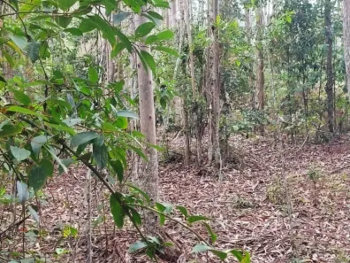 Terreno / Lote / Condomínio à venda, 65228m² no São João Batista, São João Batista