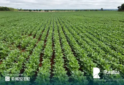 Fazenda / Sítio / Chácara à venda, 242m² no , Cristalândia
