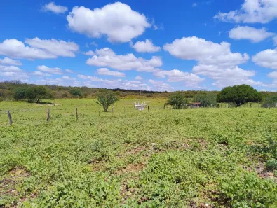 Fazenda / Sítio / Chácara com 2 Quartos à venda, 114m² no Gercino Coelho, Petrolina