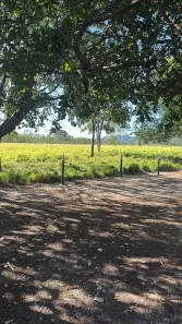Fazenda / Sítio / Chácara com 2 Quartos à venda, 726000m² no , Vila Boa