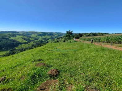 Fazenda / Sítio / Chácara à venda, 150m² no , Guaraniaçu