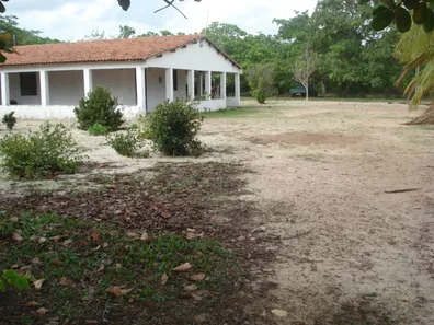 Fazenda / Sítio / Chácara com 4 Quartos à venda, 196213m² no Centro, São Gonçalo do Amarante