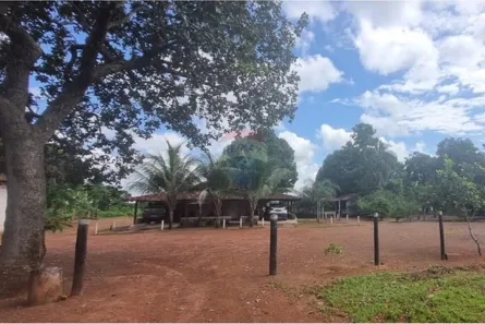 Fazenda / Sítio / Chácara à venda, 50000m² no , Divinópolis do Tocantins
