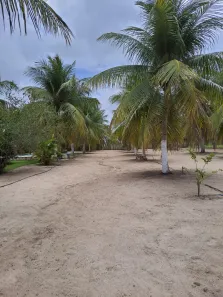 Fazenda / Sítio / Chácara com 3 Quartos à venda, 1670000m² no , Vera Cruz