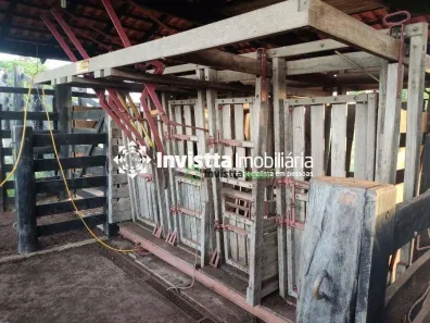 Fazenda / Sítio / Chácara à venda, 1450m² no Centro, Pium
