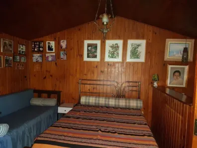 Fazenda / Sítio / Chácara com 5 Quartos à venda, 5000m² no Centro, São Lourenço da Serra