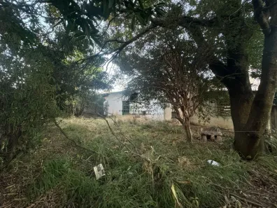 Loja / Salão / Ponto Comercial com 4 Quartos à venda, 300m² no Centro, Betim