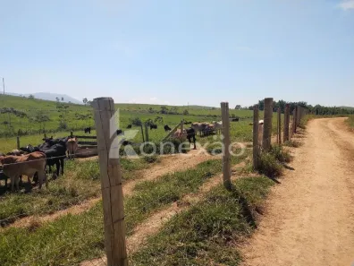 Fazenda / Sítio / Chácara com 2 Quartos à venda, 249m² no Chácara Marambaia, Caçapava