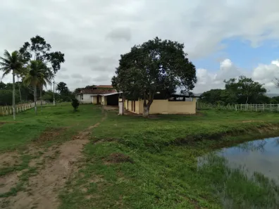 Fazenda / Sítio / Chácara com 4 Quartos à venda, 150000m² no Matriz, Vitória de Santo Antão