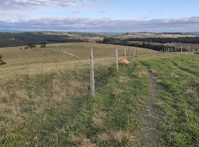 Fazenda / Sítio / Chácara com 3 Quartos à venda, 150m² no , Alambari