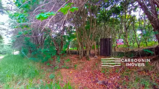 Fazenda / Sítio / Chácara com 1 Quarto à venda, 3000m² no Caçapava Velha, Caçapava