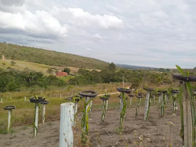 Fazenda / Sítio / Chácara com 2 Quartos à venda, 37000m² no Brazlândia, Brasília