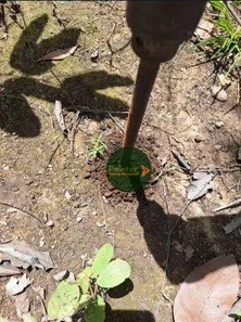 Fazenda / Sítio / Chácara à venda, 4900500m² no , Ponte Alta do Tocantins