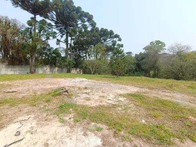 Terreno / Lote / Condomínio à venda, 1012m² no Lamenha Pequena, Almirante Tamandaré