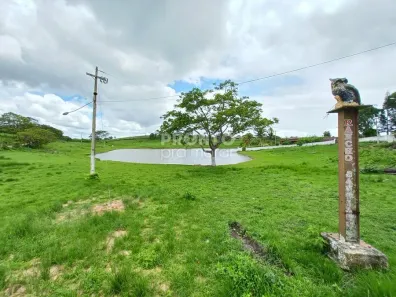 Fazenda / Sítio / Chácara com 11 Quartos à venda, 128m² no Pombos, Pombos