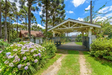 Fazenda / Sítio / Chácara com 4 Quartos à venda, 20000m² no Ferraria, Campo Largo