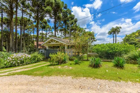 Fazenda / Sítio / Chácara com 4 Quartos à venda, 20000m² no Ferraria, Campo Largo