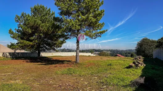 Fazenda / Sítio / Chácara à venda, 3300m² no Jardim Boa Vista, Campo Largo